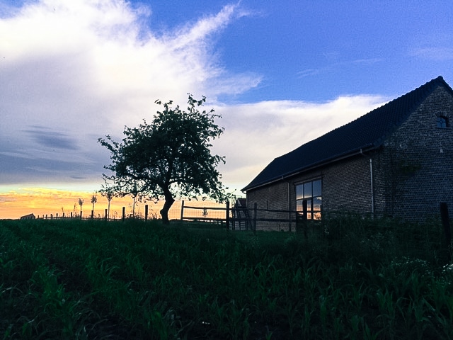 Landelijke vakantiewoning Eyndevelde bij zonsondergang met boom en groene weide in Vlaamse Ardennen