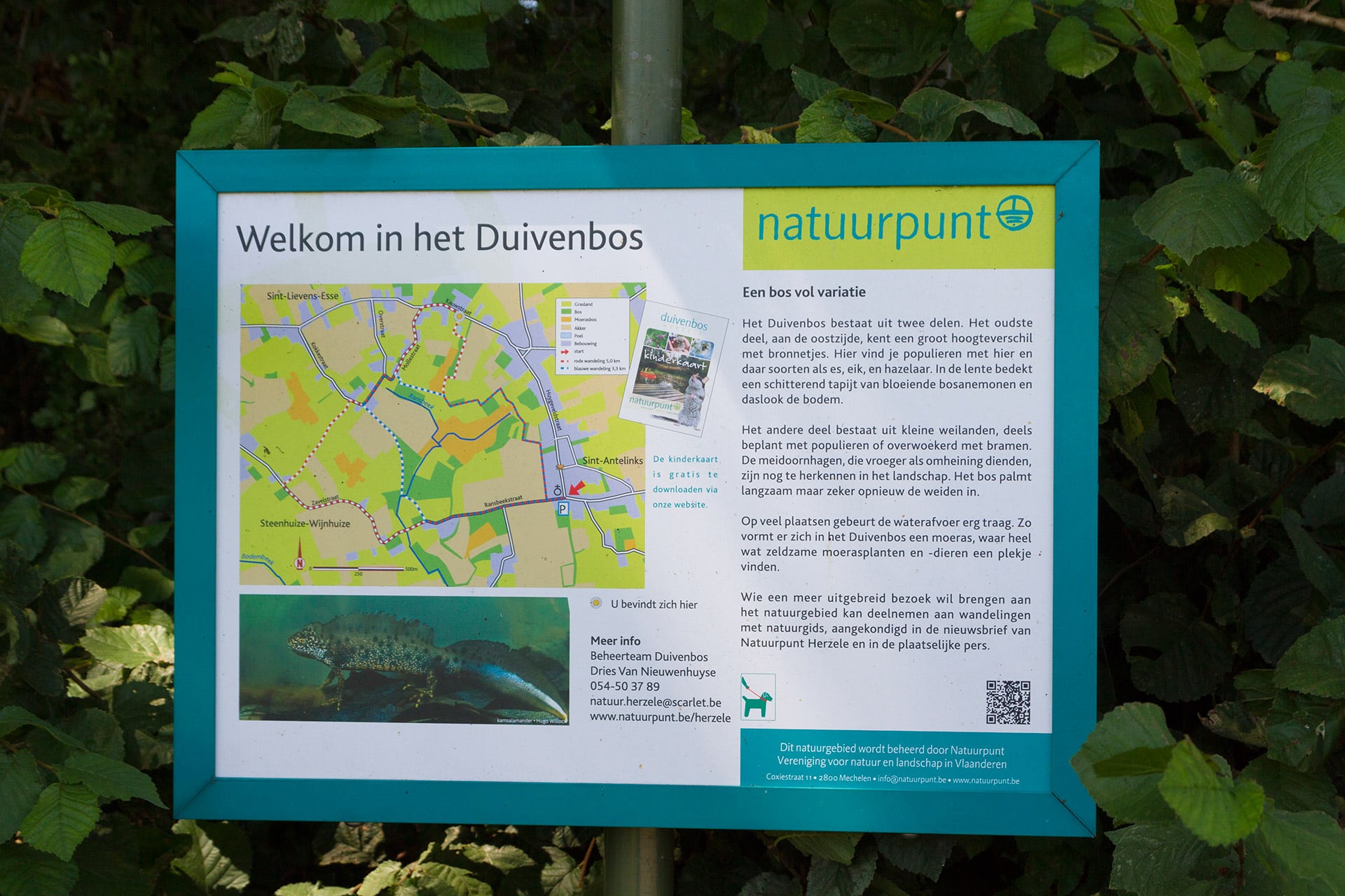 Informatiebordje "Welkom in het Duivenbos" van Natuurpunt met kaart en natuurinformatie tussen groene bladeren