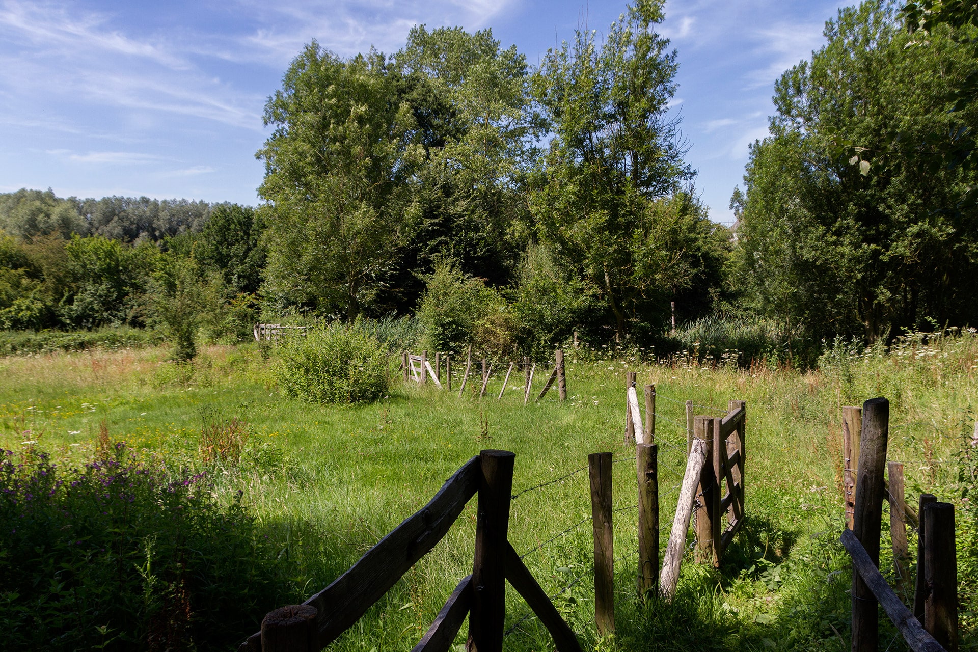 Rustiek houten hek langs groen wandelpad door natuurgebied in de Vlaamse Ardennen