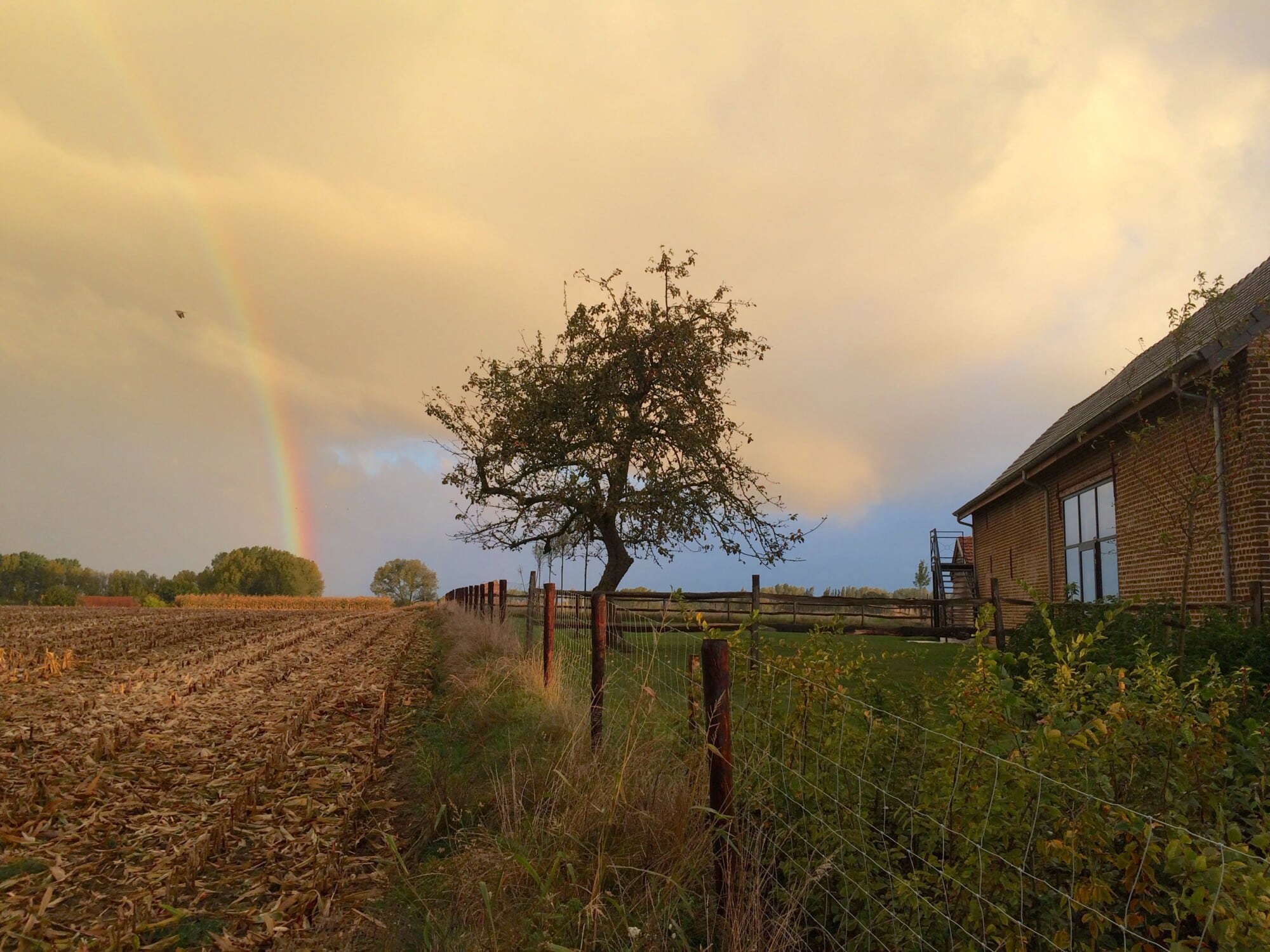 Regenboog boven landelijke hoeve Eyndevelde in de Vlaamse Ardennen met velden en authentieke architectuur