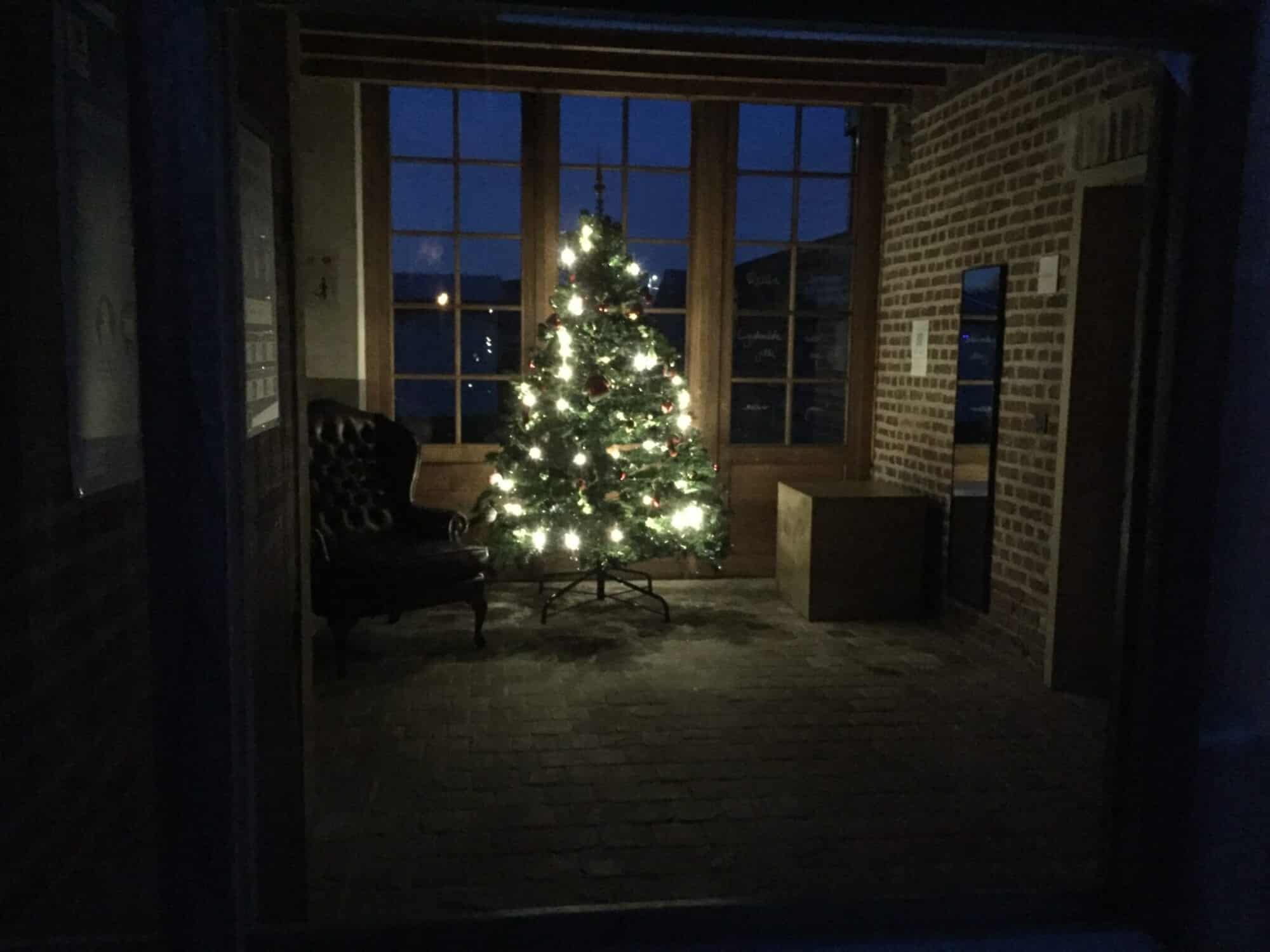 Verlichte kerstboom in gezellige woonkamer van vakantiewoning Eyndevelde tijdens avonduren