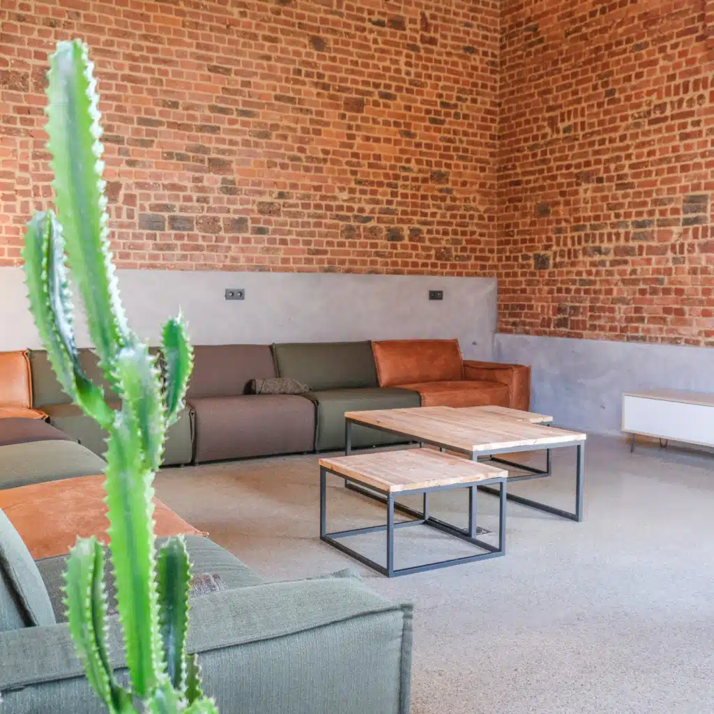 Moderne groepsruimte van Eyndevelde vakantiewoning met bakstenen muren, comfortabele banken en cactusplant