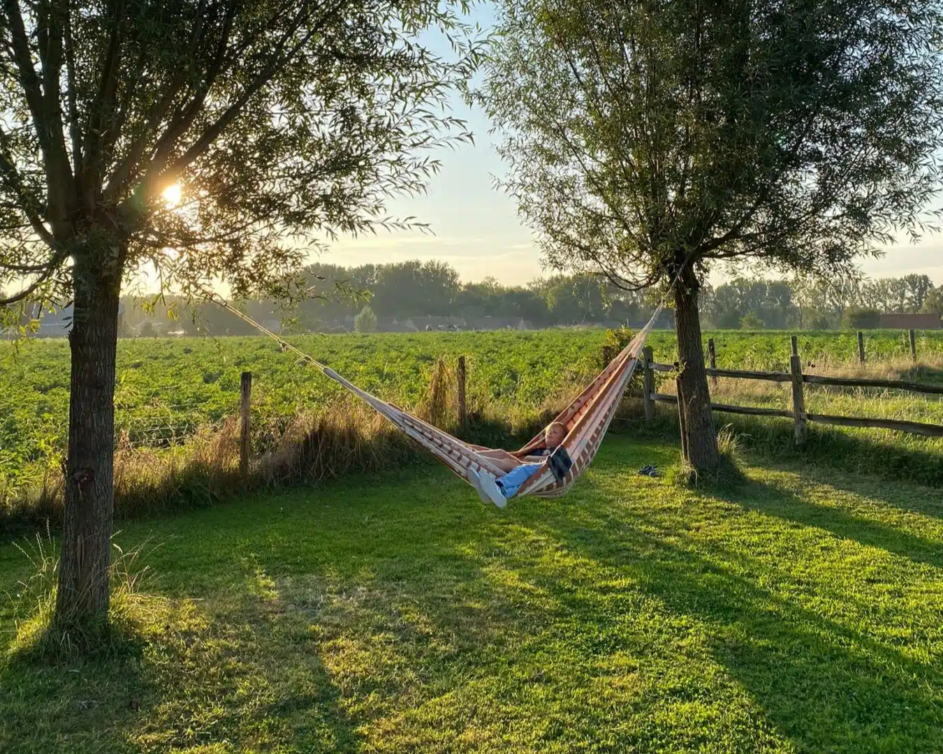 Gestreepte hangmat tussen twee bomen in groene tuin met uitzicht op velden bij zonsondergang - Eyndevelde vakantiewoning