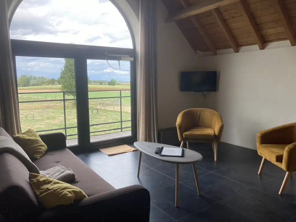 Gezellige woonkamer van Eyndevelde met grijze zetel, gele fauteuils, salontafel, tv en groot boogvenster met uitzicht op groe