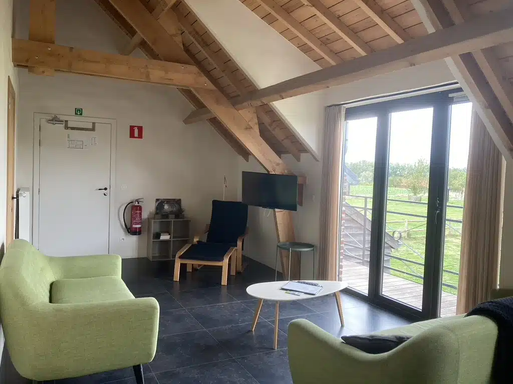 Gezellige zitruimte bij Eyndevelde met groene fauteuils, houten dakbalken, tv en glazen deuren naar een terras met uitzicht o