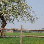 de appelboom van Eyndevelde logeren in de Vlaamse Ardennen