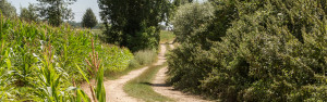 Eyndevelde wandelen en rijden in de natuur in de omgeving van Eyndevelde