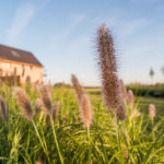 Eyndevelde vakantiewoning Vlaamse Ardennen vakantiehuis in groep