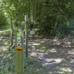 Wegwijzers voor wandelpaden in het Duivenbos in de omgeving van Eyndevelde
