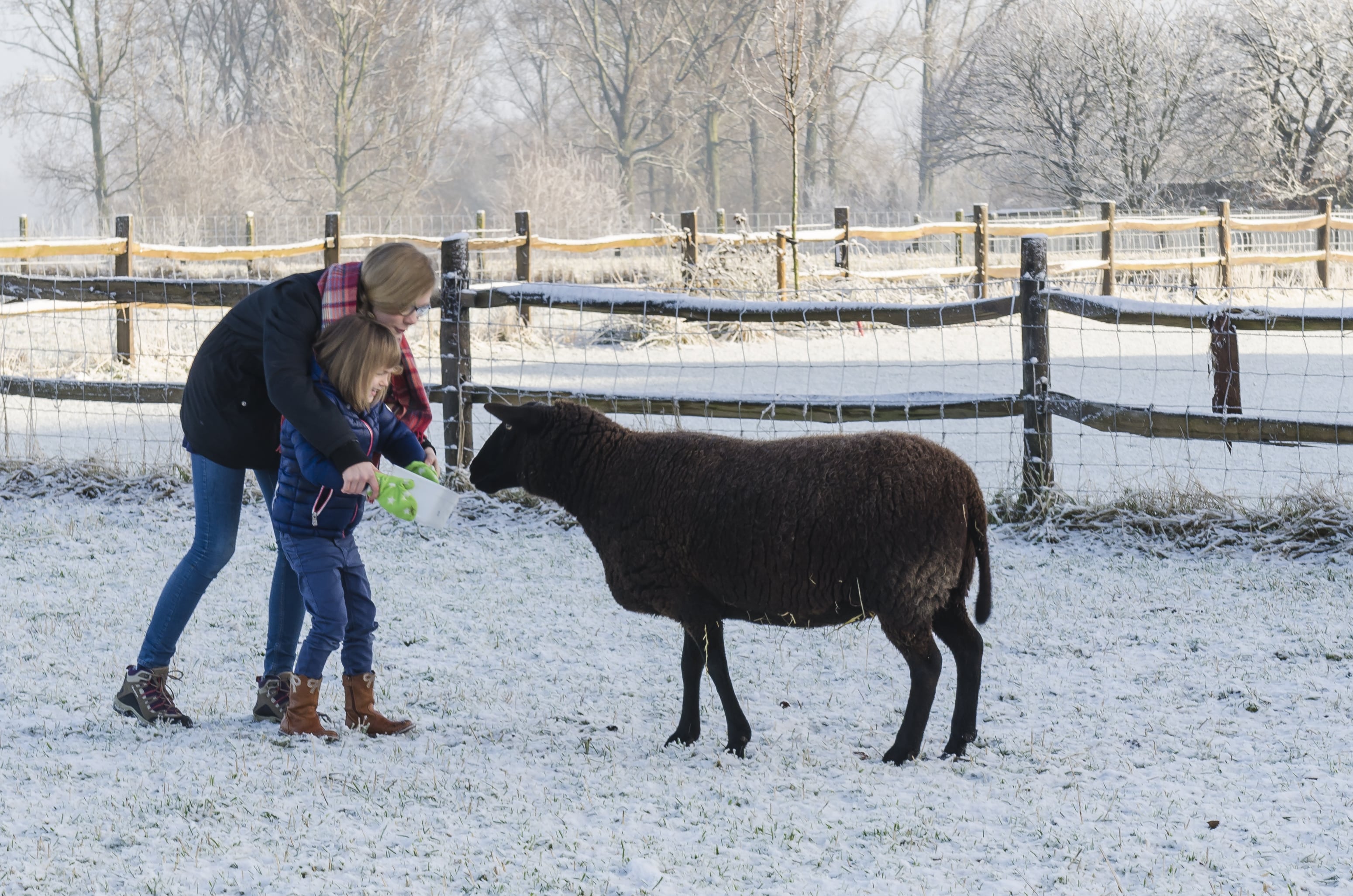 Eyndevelde vakantiewoningen Vlaamse Ardennen weekend weg met de familie in de sneeuw